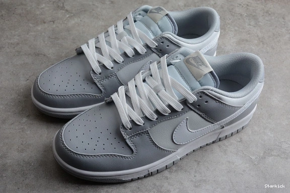 NNike Two Low DJ6188-001 Dunk Tone Grey 0319